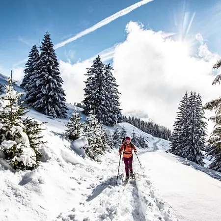 Portes Du Soleil Psb204 Telecabine & Mountain 4 Per Apartment *